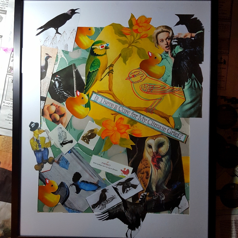 "Nature is for the Birds"